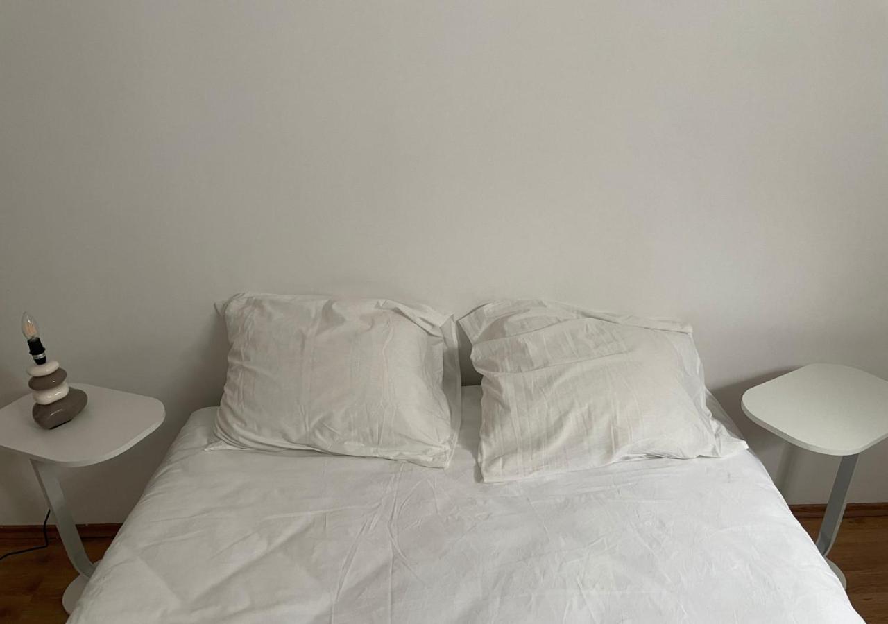 Le Wolf - 1 Chambre Dans Un T3 - 5Mn Tram Du Centre Ville - 15Mn Tram Gare Tgv Mulhouse - Wifi - Parking Buitenkant foto
