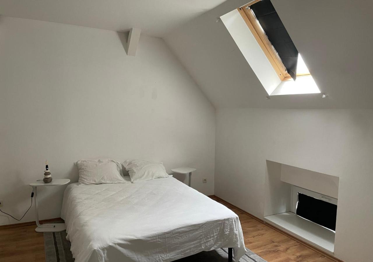 Le Wolf - 1 Chambre Dans Un T3 - 5Mn Tram Du Centre Ville - 15Mn Tram Gare Tgv Mulhouse - Wifi - Parking Buitenkant foto